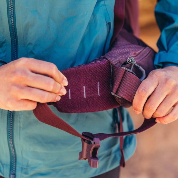 Gregory Packs Deva 60 Liter Hiking Backpack - Women - Image 6